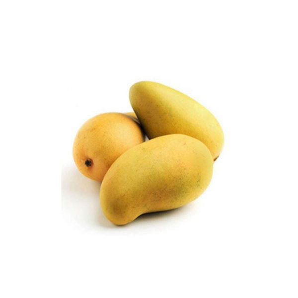 Chaunsa Mango - Small Box